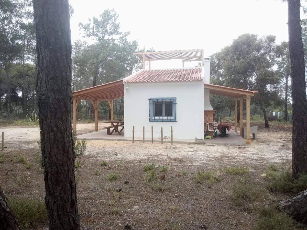 Casa Do Pinheiro - Parque Natural Da Ria Formosa. Ταβίρα Εξωτερικό φωτογραφία