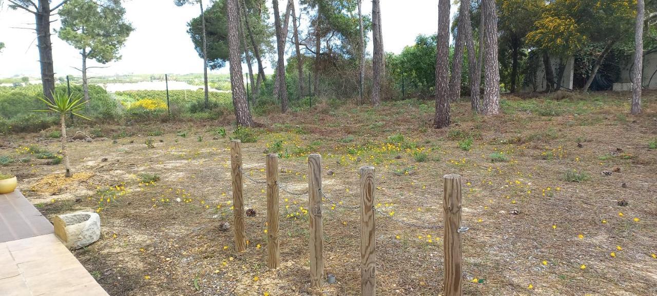 Casa Do Pinheiro - Parque Natural Da Ria Formosa. Ταβίρα Εξωτερικό φωτογραφία