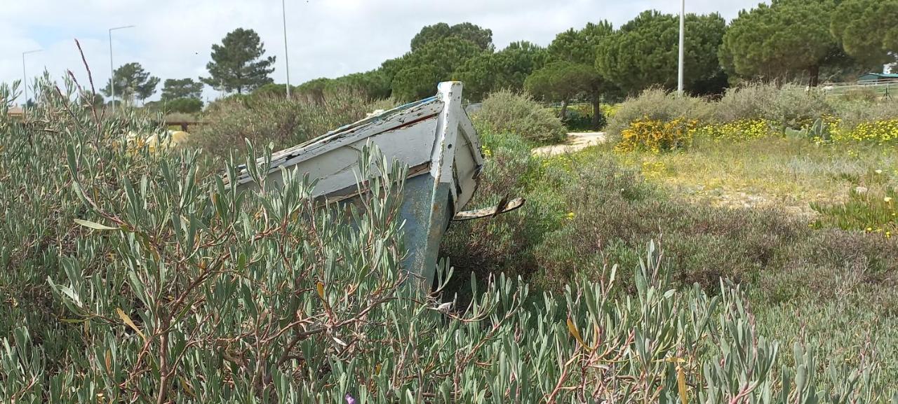 Casa Do Pinheiro - Parque Natural Da Ria Formosa. Ταβίρα Εξωτερικό φωτογραφία