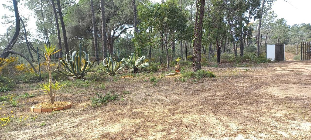 Casa Do Pinheiro - Parque Natural Da Ria Formosa. Ταβίρα Εξωτερικό φωτογραφία