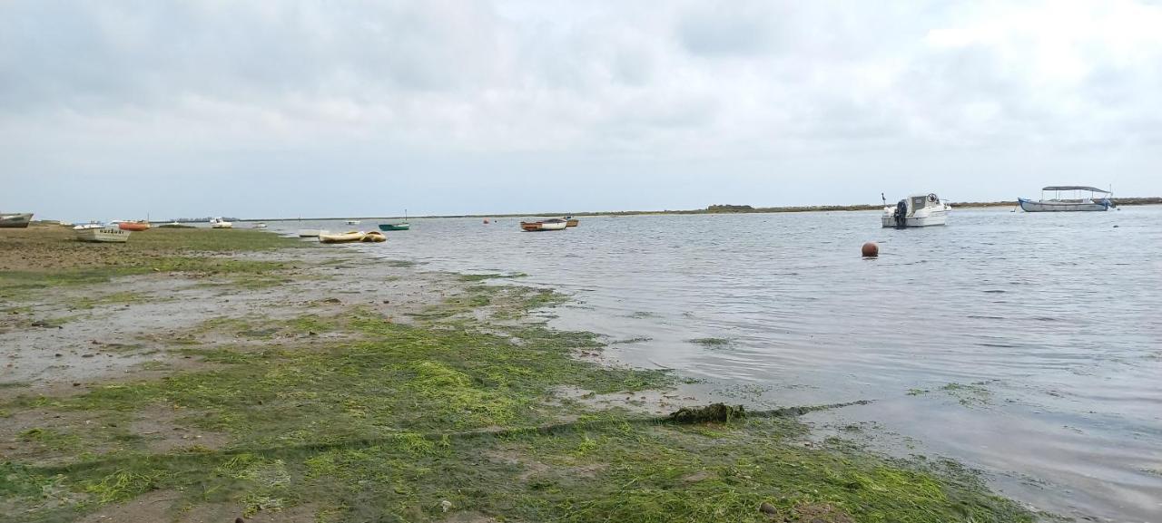 Casa Do Pinheiro - Parque Natural Da Ria Formosa. Ταβίρα Εξωτερικό φωτογραφία