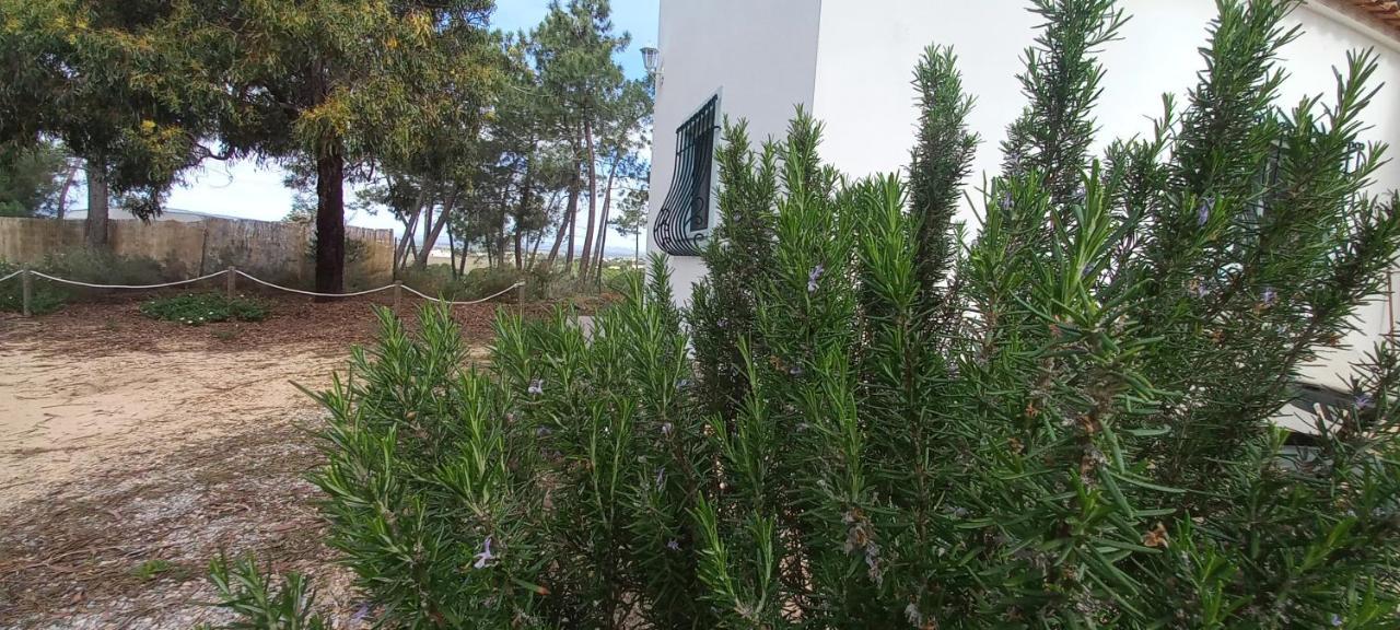 Casa Do Pinheiro - Parque Natural Da Ria Formosa. Ταβίρα Εξωτερικό φωτογραφία