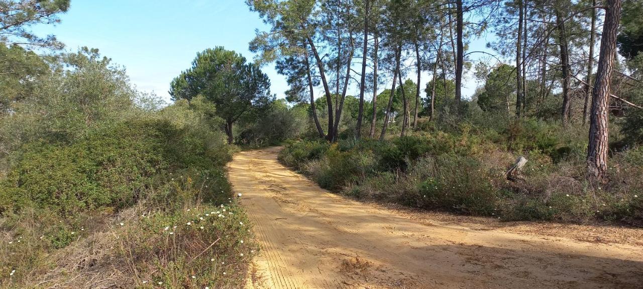 Casa Do Pinheiro - Parque Natural Da Ria Formosa. Ταβίρα Εξωτερικό φωτογραφία