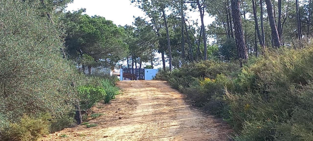 Casa Do Pinheiro - Parque Natural Da Ria Formosa. Ταβίρα Εξωτερικό φωτογραφία