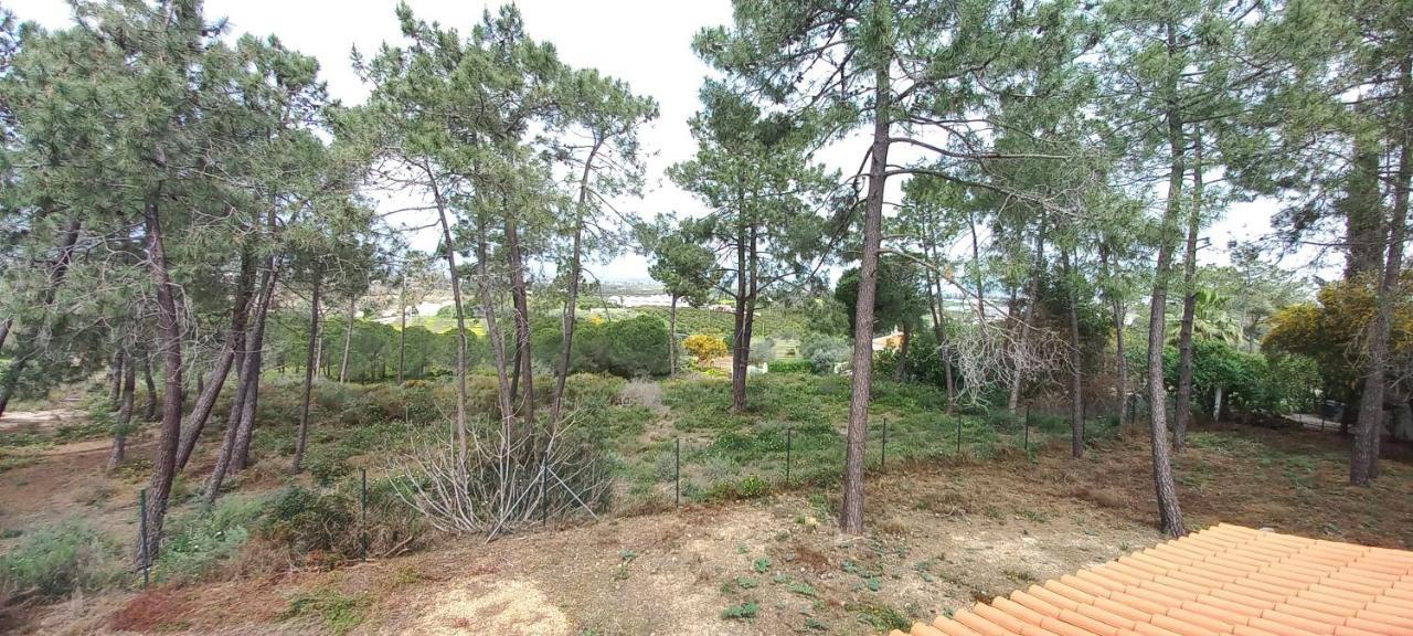 Casa Do Pinheiro - Parque Natural Da Ria Formosa. Ταβίρα Εξωτερικό φωτογραφία